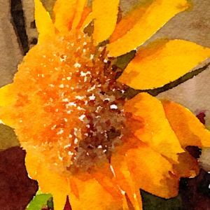 Meet your Posher, Kerry